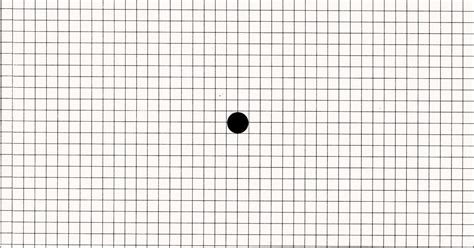 amsler recording chart|Amsler Grid: What It Is, How to Use It, and More .